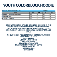 Fund A Hawk Youth Color Block Hoodie